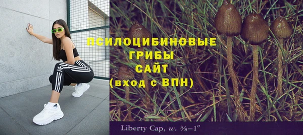 тгк Балабаново