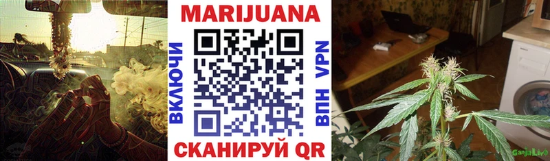 как найти наркотики Заозёрск Каннабис план